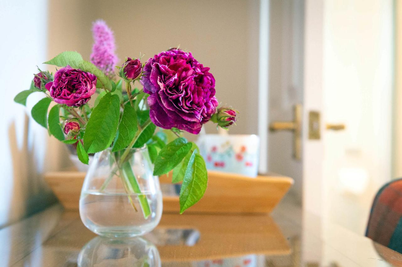 The Dinney B&B Bridgnorth Extérieur photo